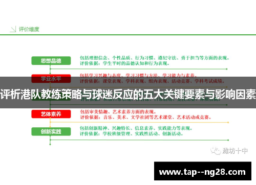 评析港队教练策略与球迷反应的五大关键要素与影响因素