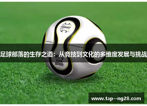 足球部落的生存之道：从竞技到文化的多维度发展与挑战